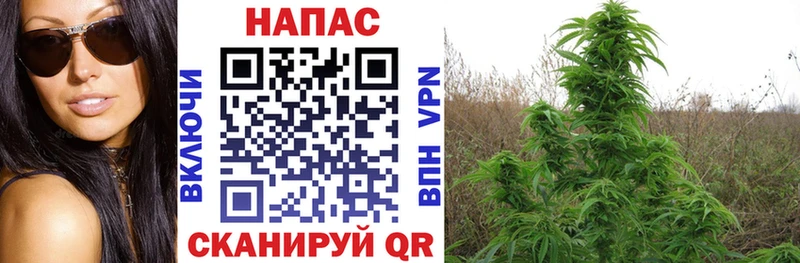 Купить наркотики цена Кремёнки Амфетамин  А ПВП  Меф мяу мяу  Каннабис 